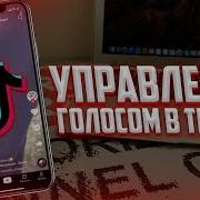 Как Сделать Видео Голосом Со Стикерами Как В Like Или Tiktok На Айфон