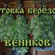Эх Баня Баня Баня Березовый Листок