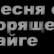 Дед Архимед О Пожарах В Тайге