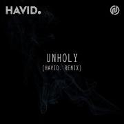 Unholy Havid Remix