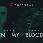 Cover Shawn Mendes X Portugal In My Blood