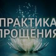 Елена Балацкая Прощение