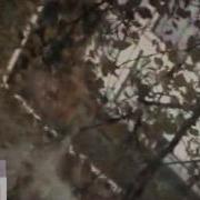 Милевский Все Песни Скачать Бесплатно