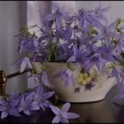 Диана Гурцкая Есть Ли Любовь На Свете