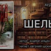 Андрей Ильин Шельф