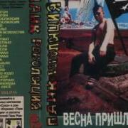Скороспилсия Негры