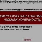 Большаков И Н Нижняя Конечность Оперативная Хирургия И Топографическая Анатомия