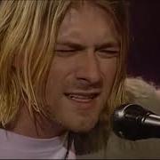 Live On Mtv Unplugged Unedited 1993 Full