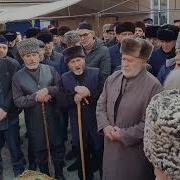 Хьоме Шича Дала Декьал Йойла
