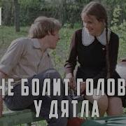 Не Болит Голова У Дятла