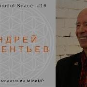 Медитация В Буддизме И Научный Взгляд Андрей Терентьев