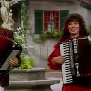 Accordion Mix Music