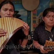 The House Of The Rising Sun Дом Восходящего Солнца Instrumental Panflute