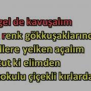 Tarkan Kedi Gibi Karaoke Full Hd