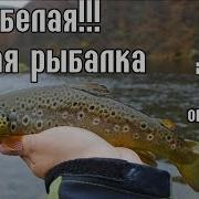 Рыбалка На Реке Белая Таймень И Форель Обзор Обновления Русская