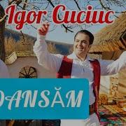 Igor Cuciuc Dansam Si Cu Totii Ne Distram