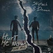 Skytech Dannic Hurt Me Now Extended Vip Mix