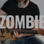 Zombie Acoustic Guitar Cover The Cranberries