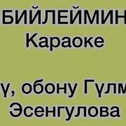 Балдар Ыры Караоке
