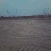 Брэйк Дэнс Собаки В Песке