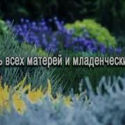 Доброта Христианская Песня Караоке
