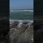 Лекции Мух1Аммад Абу Усама День Арафат