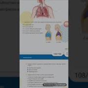 8 Ci Sinif Biologiya Üzrə K S Q No 4