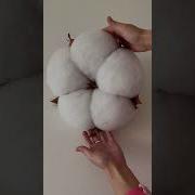 Резкий Хлопок