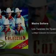 Los Tucanes De Tijuana Madre Soltera