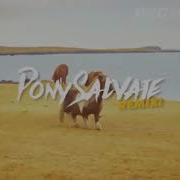 Pony Salvaje Remix