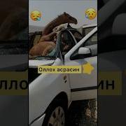 Оллох Панохида Асрасин