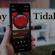 Tidal