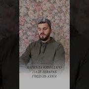 Поздравление С Днем Рождения На Аварском