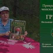 Грибная Энциклопедия