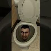 Голова Из Унитаза