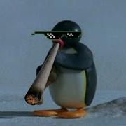 Pingu Bum Bum Tam Tam Meme