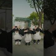 Тренд С Пингвинами Из Тик Тока