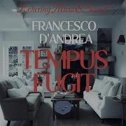 Tempus Fugit Francesco D Andrea