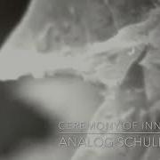 Moby Ceremony Of Innocence Analog Schule Remix