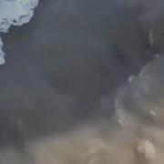 Журчашка Исцеляет Почки Радует Сердце
