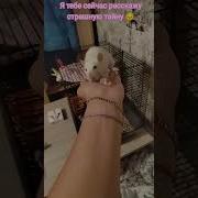 Я Тебе Сейчас Расскажу Страшную Тайну