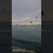 Жизнь Так Быстро Летит