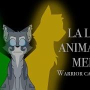 La Lune Meme Warriors Cats