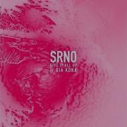 Srno Give It All Up Feat Gia Koka