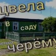 Отцвела В Саду Черемуха Михаил Устенко