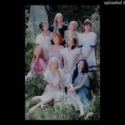 Twice Signal Majestic Version