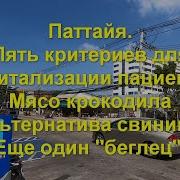 Налетел Короновирус На Расию Нашу