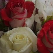 Поздравлениу Для Дяди От Племяницы