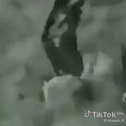 Скажи Своему Ельцину Что Чеченский Волк Сильнее Русского Орла