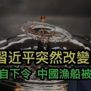 Lt視界 发生了